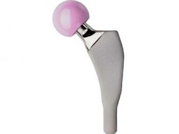 Furlong Evolution Stem: image from JRI